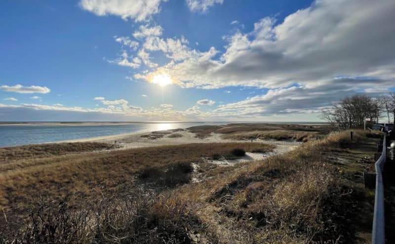 June Sticker Office Hours